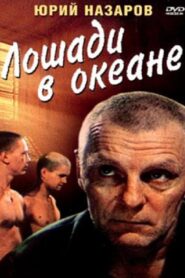 Horses in the Ocean 1989 one on netflix
