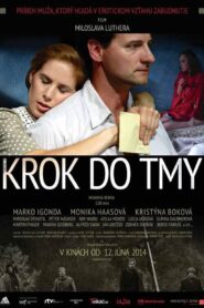 A Step Into the Dark 2014 one on netflix