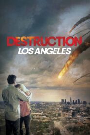 Destruction: Los Angeles 2020 one on netflix