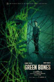 Green Bones 2024 one on netflix