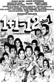 1 + 1 = 12 + 1 1987 one on netflix
