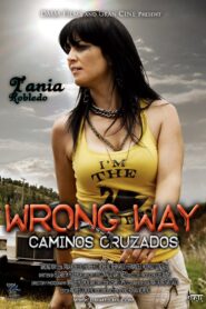 Caminos Cruzados 2008 one on netflix