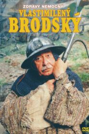 Zdravý nemocný Vlastimilený Brodský 1999 one on netflix