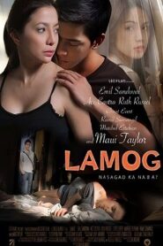 Lamog 2011 one on netflix