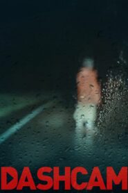 Dashcam 2022 one on netflix