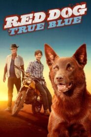 Red Dog: True Blue 2016 one on netflix