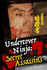 Undercover Ninja: Secret Assassins 1983 one on netflix