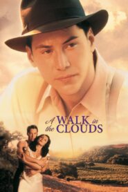 A Walk in the Clouds 1995 one on netflix