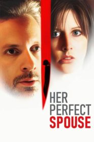 The Perfect Husband 2004 one on netflix
