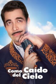 Out of the Clear Blue Sky 2019 one on netflix
