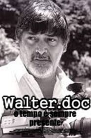 Walter.doc – o tempo é sempre presente 2000 one on netflix