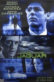Code Name: Jaguar 1999 one on netflix