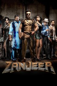 Zanjeer 2013 one on netflix