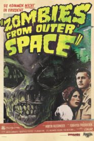 Zombies from Outer Space 2012 one on netflix