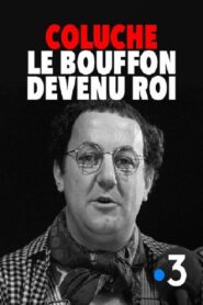 Coluche : le bouffon devenu roi 2016 one on netflix