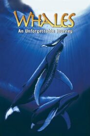 Whales: An Unforgettable Journey 1997 one on netflix