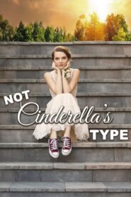 Not Cinderella’s Type 2018 one on netflix