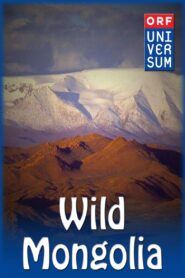 Wild Mongolia 2006 one on netflix