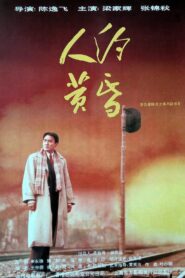 Evening Liaison 1995 one on netflix