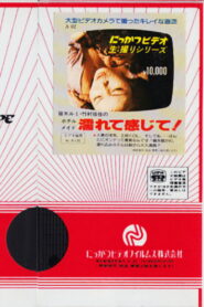 Rumi Sasaki and Yuka Takemura: Hotel Maid, Feel Wet! 1981 one on netflix
