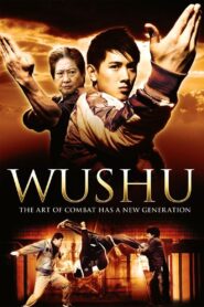 Wushu 2008 one on netflix