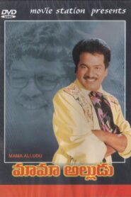 Mama Alludu 1990 one on netflix