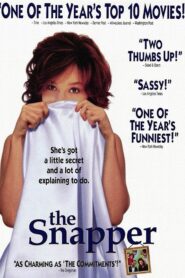 The Snapper 1993 one on netflix