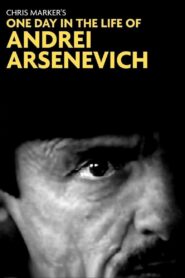 One Day in the Life of Andrei Arsenevich 1999 one on netflix