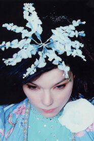 Björk – The Creative Universe of a Music Missionary 2015 one on netflix