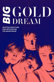 Big Gold Dream: Scottish Post-Punk and Infiltrating the Mainstream 2015 one on netflix