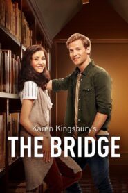 The Bridge 2015 one on netflix