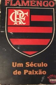 Flamengo: A Century of Passion 1995 one on netflix