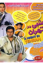 A Night in Tehran 2008 one on netflix