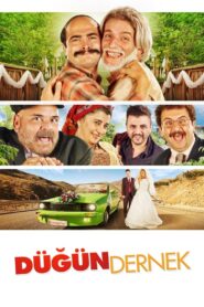 Wedding Association 2013 one on netflix