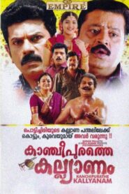 Kancheepurathe Kalyanam 2009 one on netflix