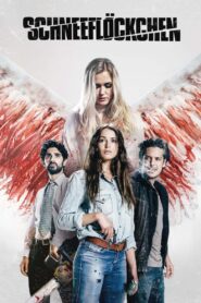 Snowflake 2017 one on netflix