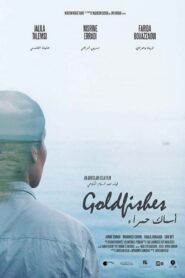 Goldfishes 2022 one on netflix
