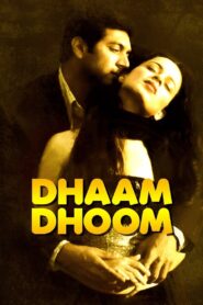 Dhaam Dhoom 2008 one on netflix