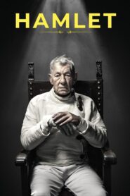 Hamlet 2024 one on netflix