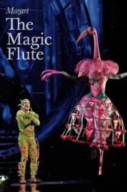 The Magic Flute 2006 one on netflix