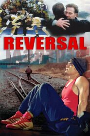 Reversal 2001 one on netflix