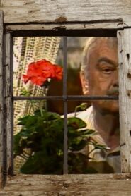 Be Like the Sun 1985 one on netflix