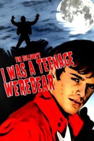 I Was a Teenage Werebear 2011 one on netflix