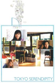 Tokyo Serendipity 2007 one on netflix