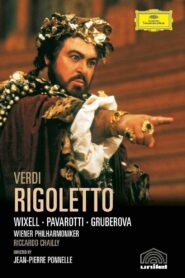 Verdi: Rigoletto 1982 one on netflix