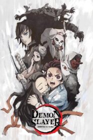 Demon Slayer: Kimetsu no Yaiba — Sibling’s Bond 2019 one on netflix