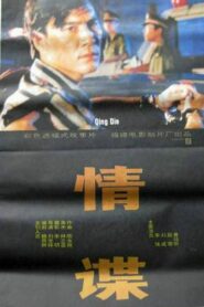 情谍 1994 one on netflix