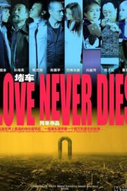 Love Never Dies 2011 one on netflix