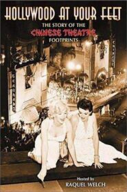 Hollywood at Your Feet: The Story of the Chinese Theatre Footprints 2000 one on netflix