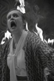 Maid on Fire! 2008 one on netflix